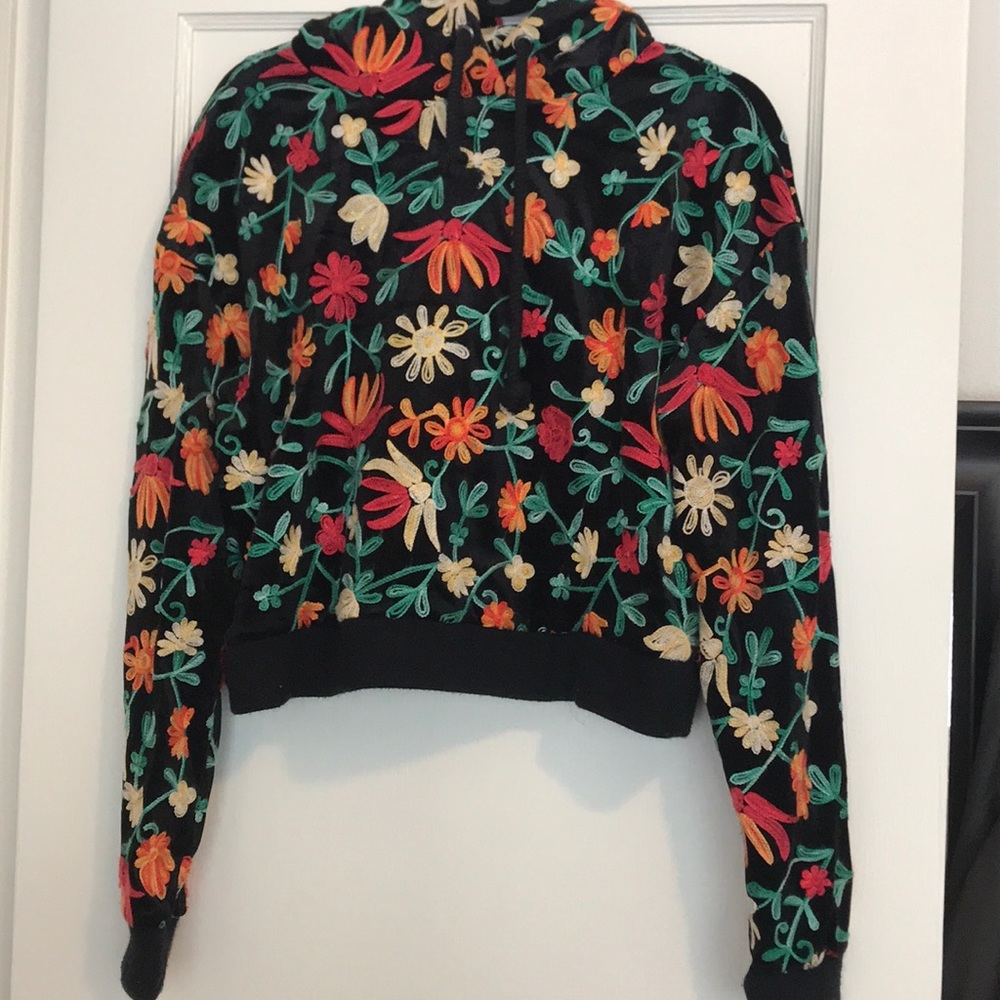 Zara Velvet Embroidered Sweatshirt with Hood
